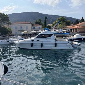 Dellapasqua DC9S,2002